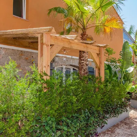 Apartamento Tiloulocation - - Papa-iti